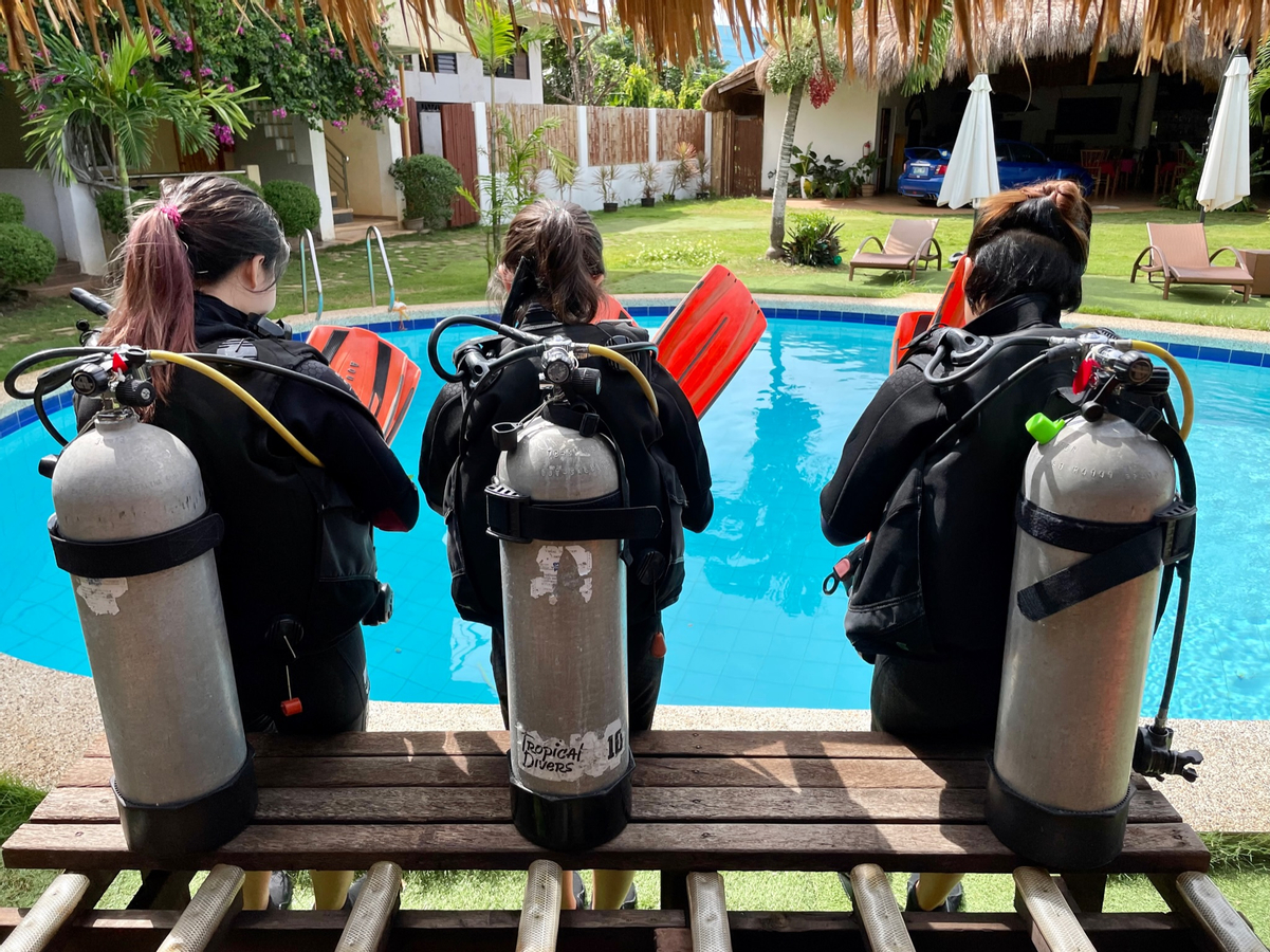 Scuba Wonders Discovery for Beginners with PADI 5* Dive Center YlPQPTsT