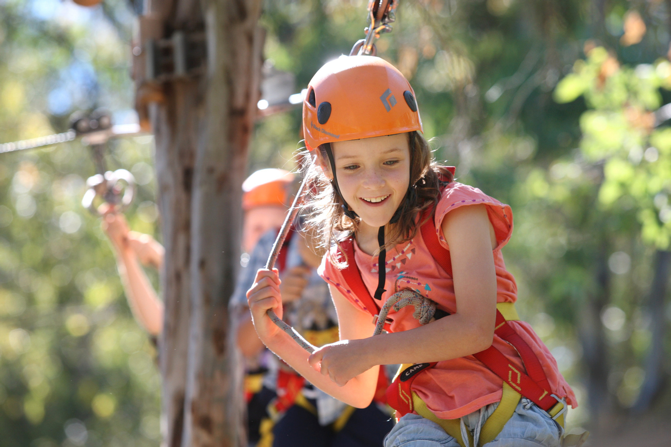 Tree Climbing and Zipline Adventure in Western Sydney Diskon 50% Harga ...