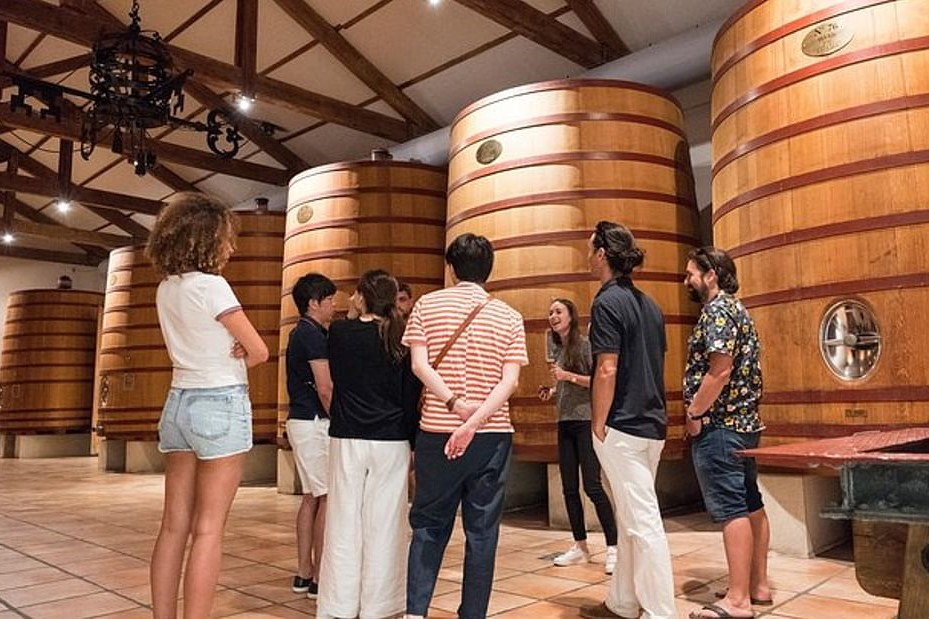 Chateauneuf-du-Pape Wine Tour from Avignon Ynm61mEy
