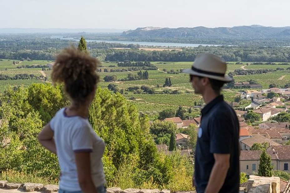 Chateauneuf-du-Pape Wine Tour from Avignon 3cpcXyof