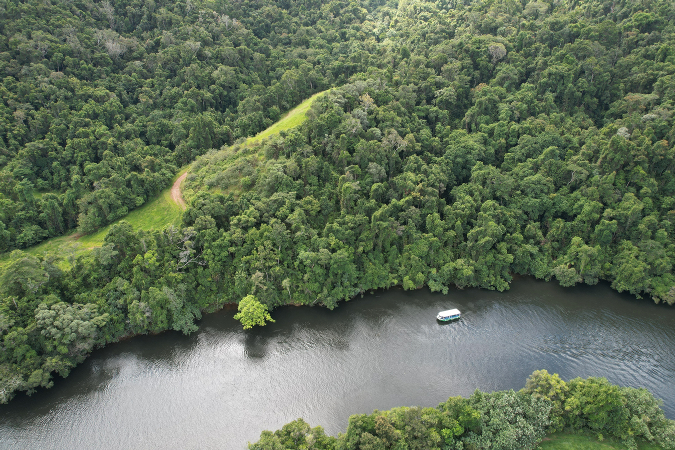 Greater Daintree Wildlife Cruise agcyCGbK