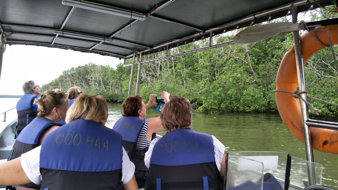 Dolphin Mangrove Cruise and Sarawak Cultural Village Tour in Kuching 2weIjj0n