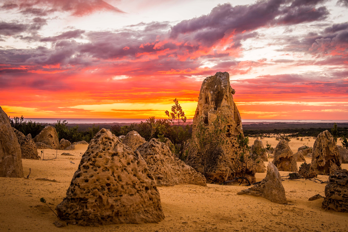 Pinnacle Desert Tours from Perth 36UQLtWK