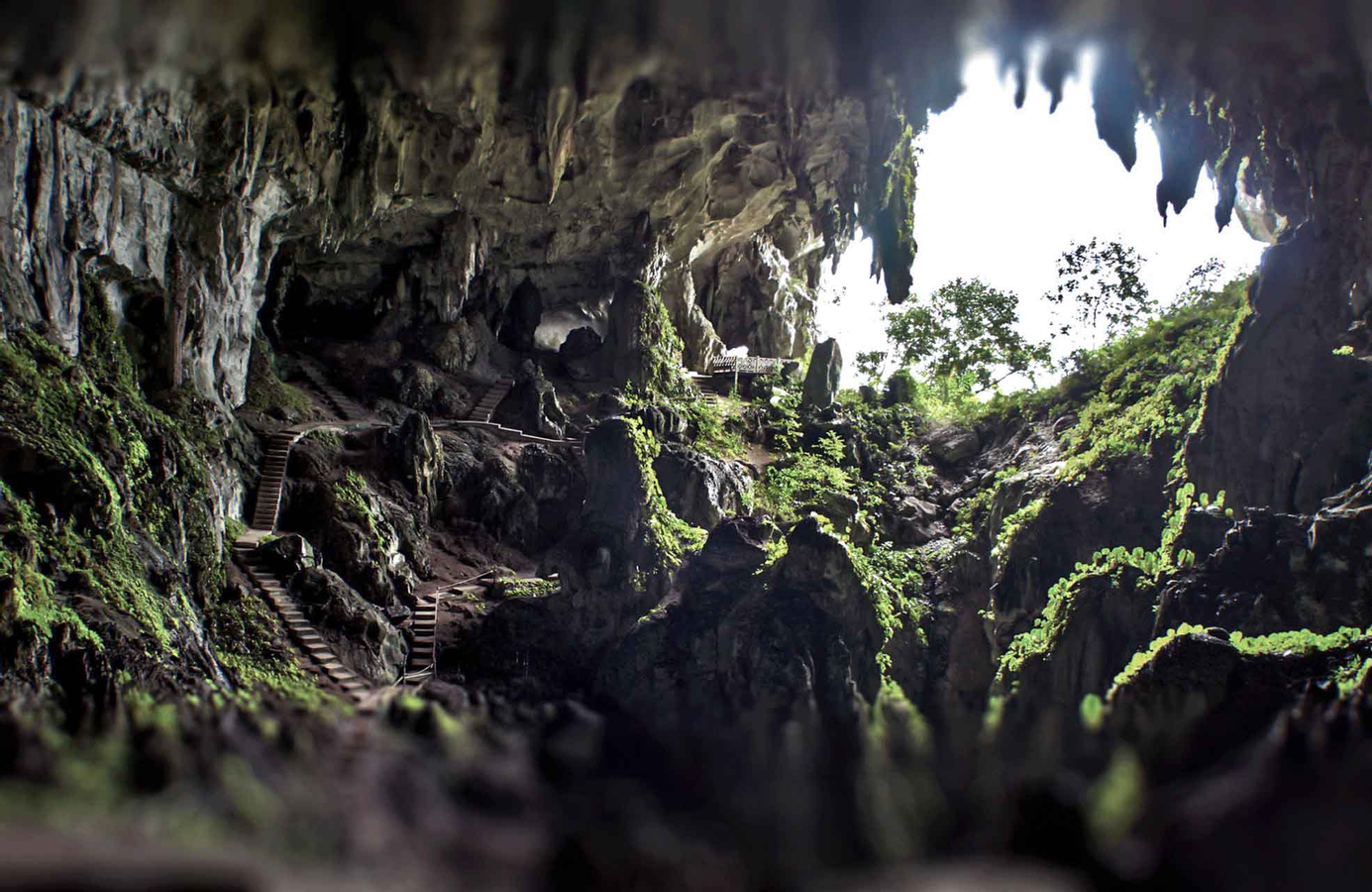 Caving and Semenggoh Wildlife Centre or Annah Rais Longhouse Tour in Kuching QHzfXyZV-backdrop