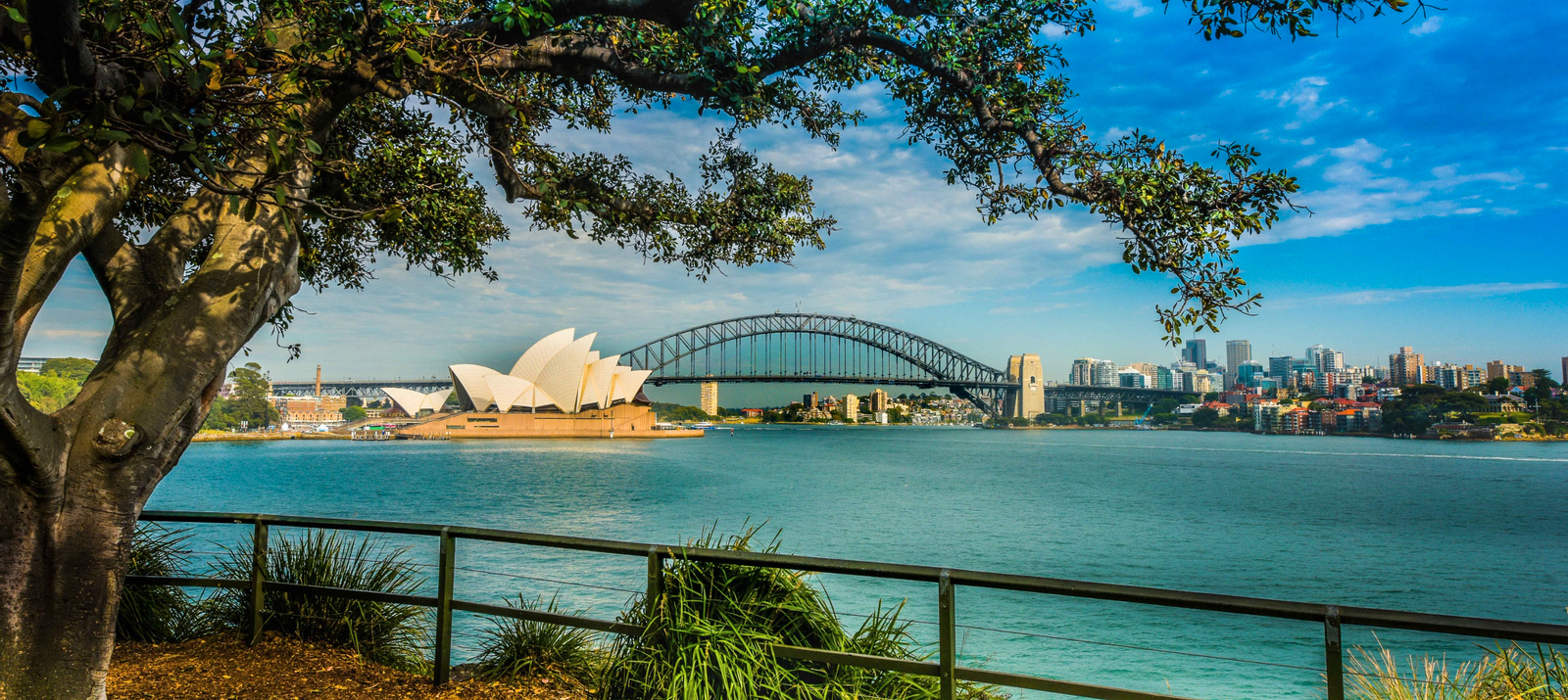 [Combo] Morning Sydney Sights Tour and Harbour Lunch Cruise CaXbOpVb