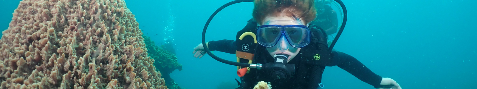 Koh Tao Beginner Scuba Experience with PADI 5 Star center 4GM9QeGH