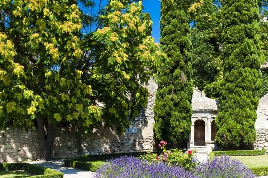 Provence Full Day Tour from Avignon cXf6STUm