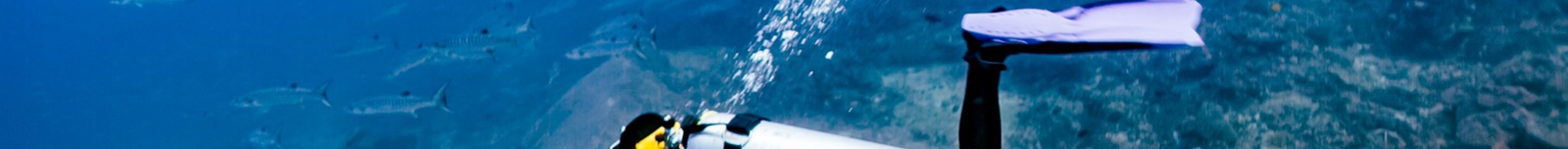 Immerse in Phuket's Depths: Full-Day Dive Trip with PADI 5* Center Kb5S0rnF
