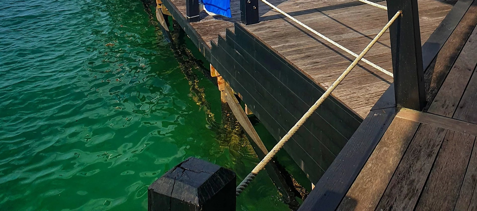 Aquatic Excursion in Kota Kinabalu: Open Water Dive with PADI Center 1ZLQ0im9