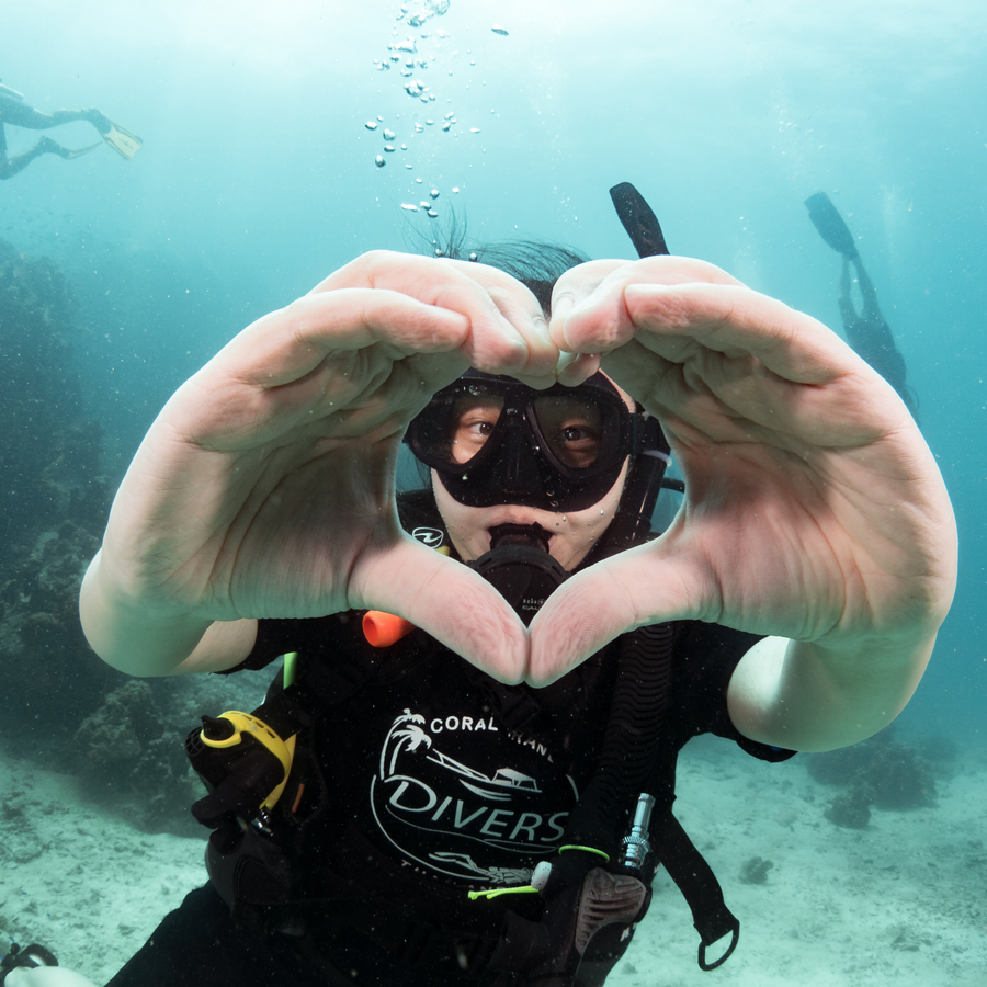 Koh Tao Beginner Scuba Experience with PADI 5 Star center FqywwHWc