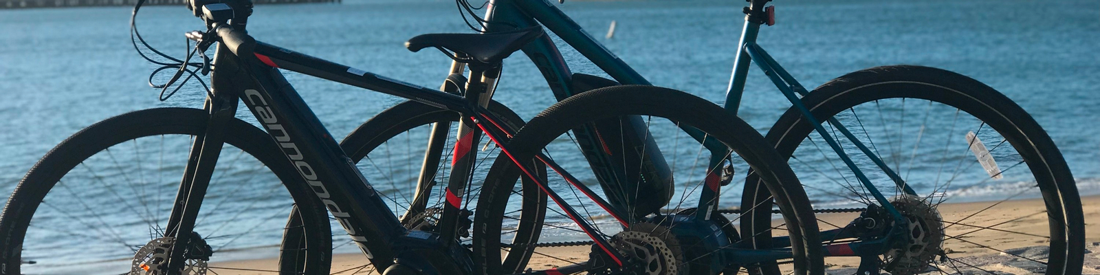 Santa Monica Electric Bike Rental 9qw8mJ2z-backdrop