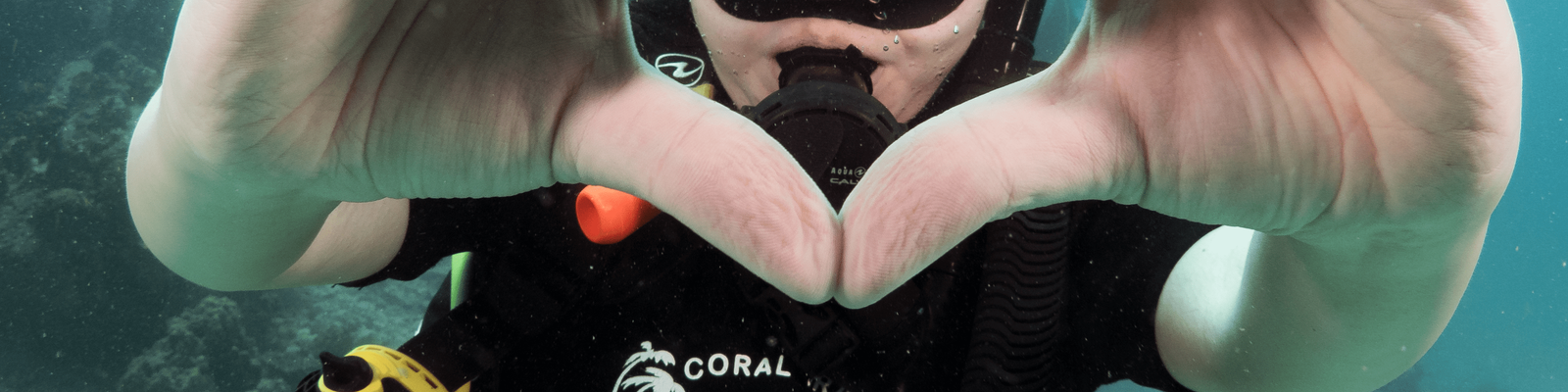 Koh Tao Beginner Scuba Experience with PADI 5 Star center hO9XTEhl