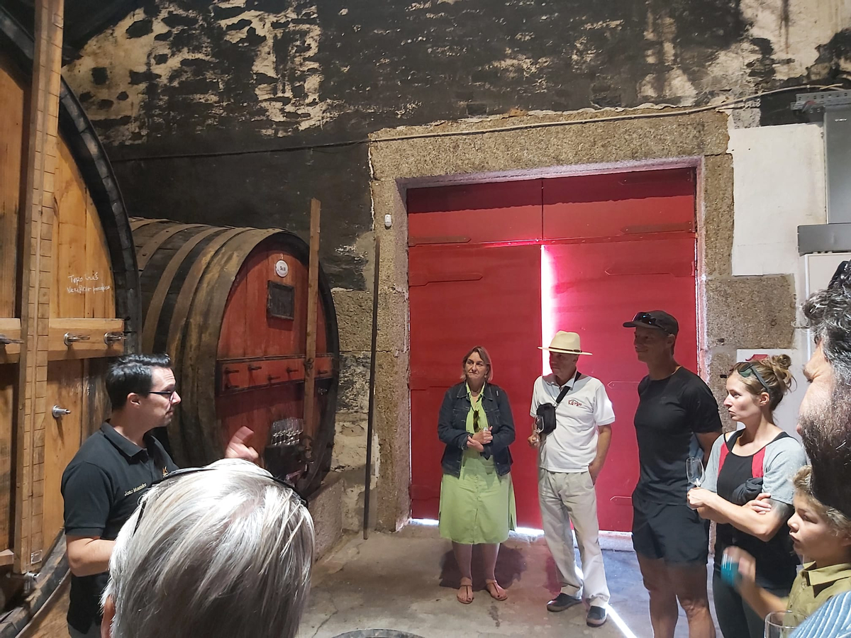 DOURO VALLEY: Premium Wine Tour, Boat Cruise & Winery´s Lunch 5BOIxzwh