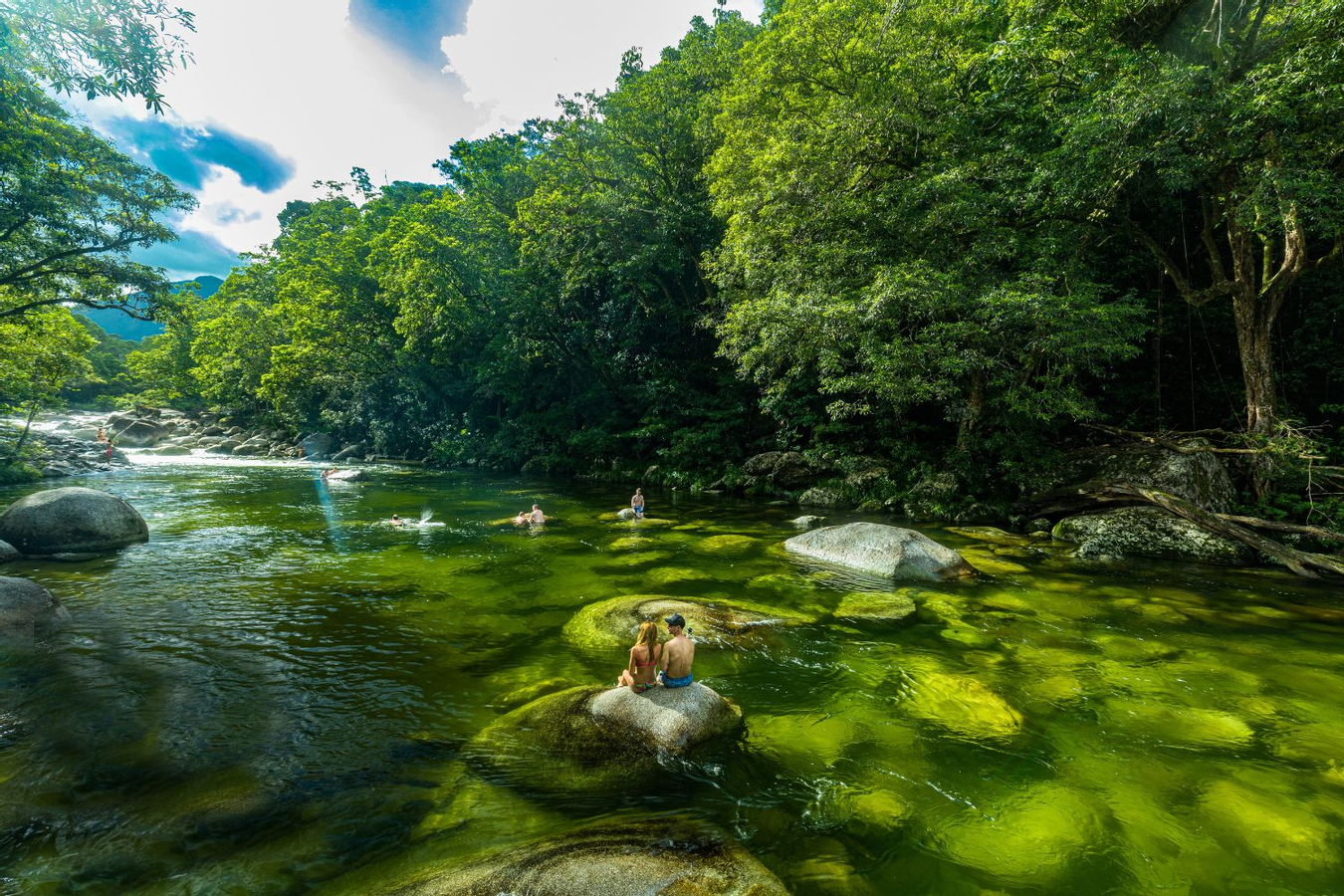 Daintree, Mossman Gorge and Wildlife Tour AFA9d4jY