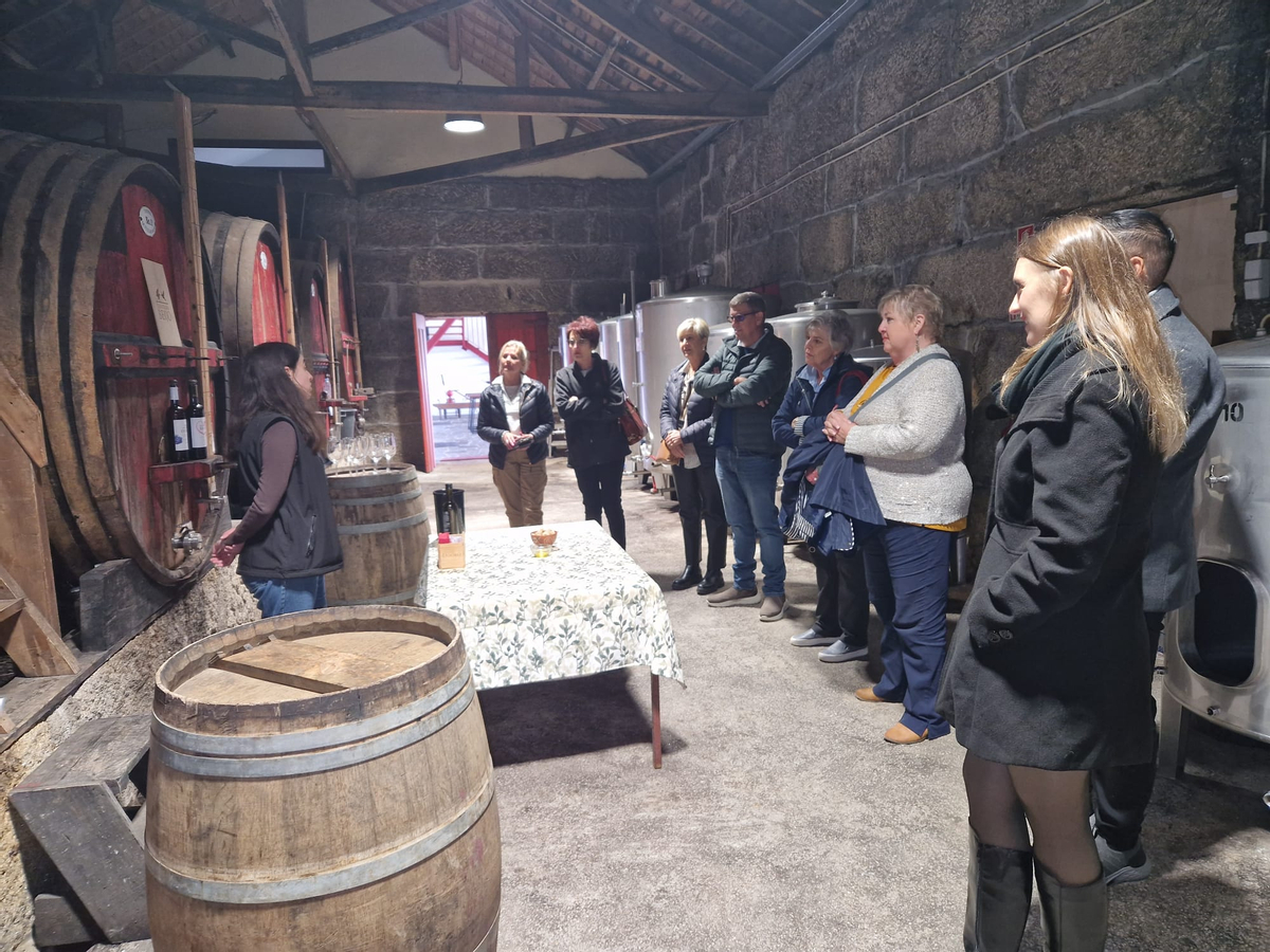 DOURO VALLEY: Premium Wine Tour, Boat Cruise & Winery´s Lunch m6HF0PHe