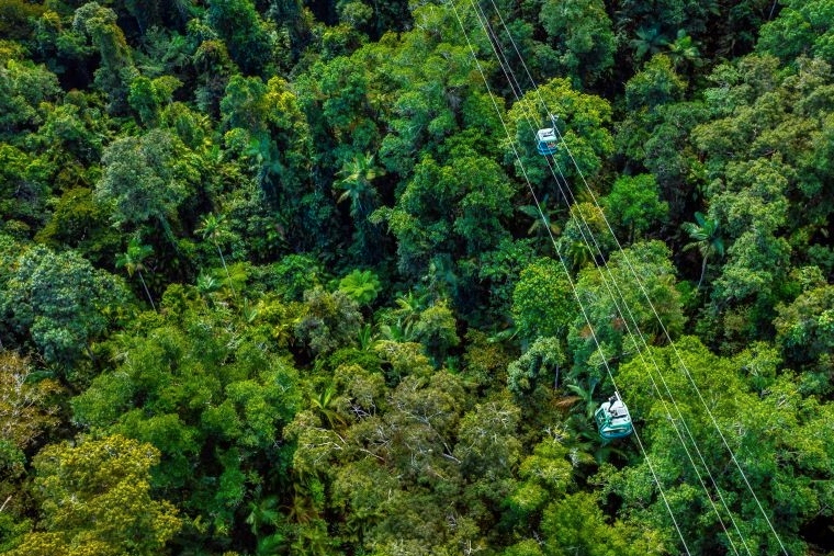 Waterfall, Wetlands, and Skyrail Day Tour from Cairns kCpOvKAg