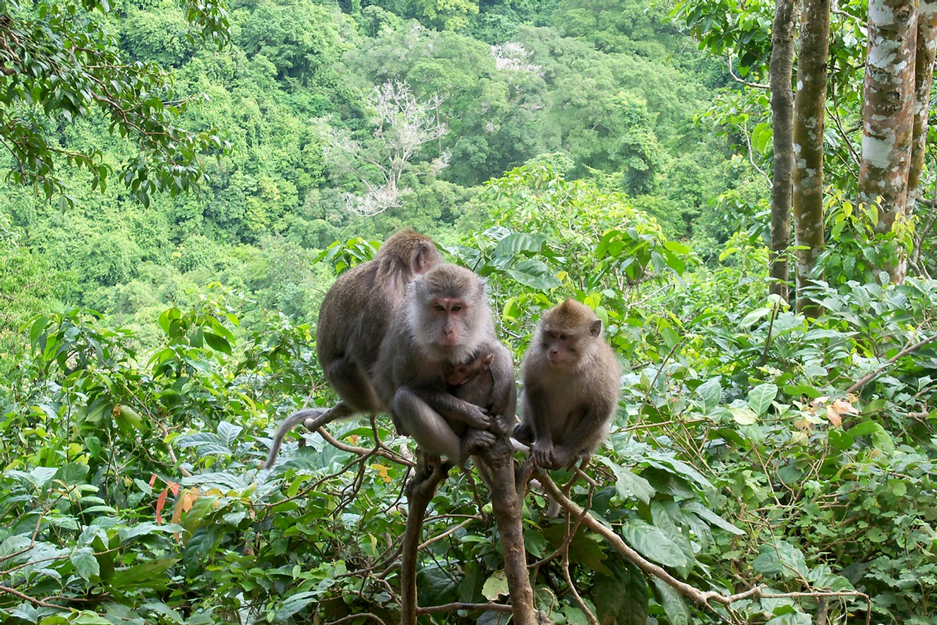 North Lombok Exploration Tour with Lunch yvhCC7mS