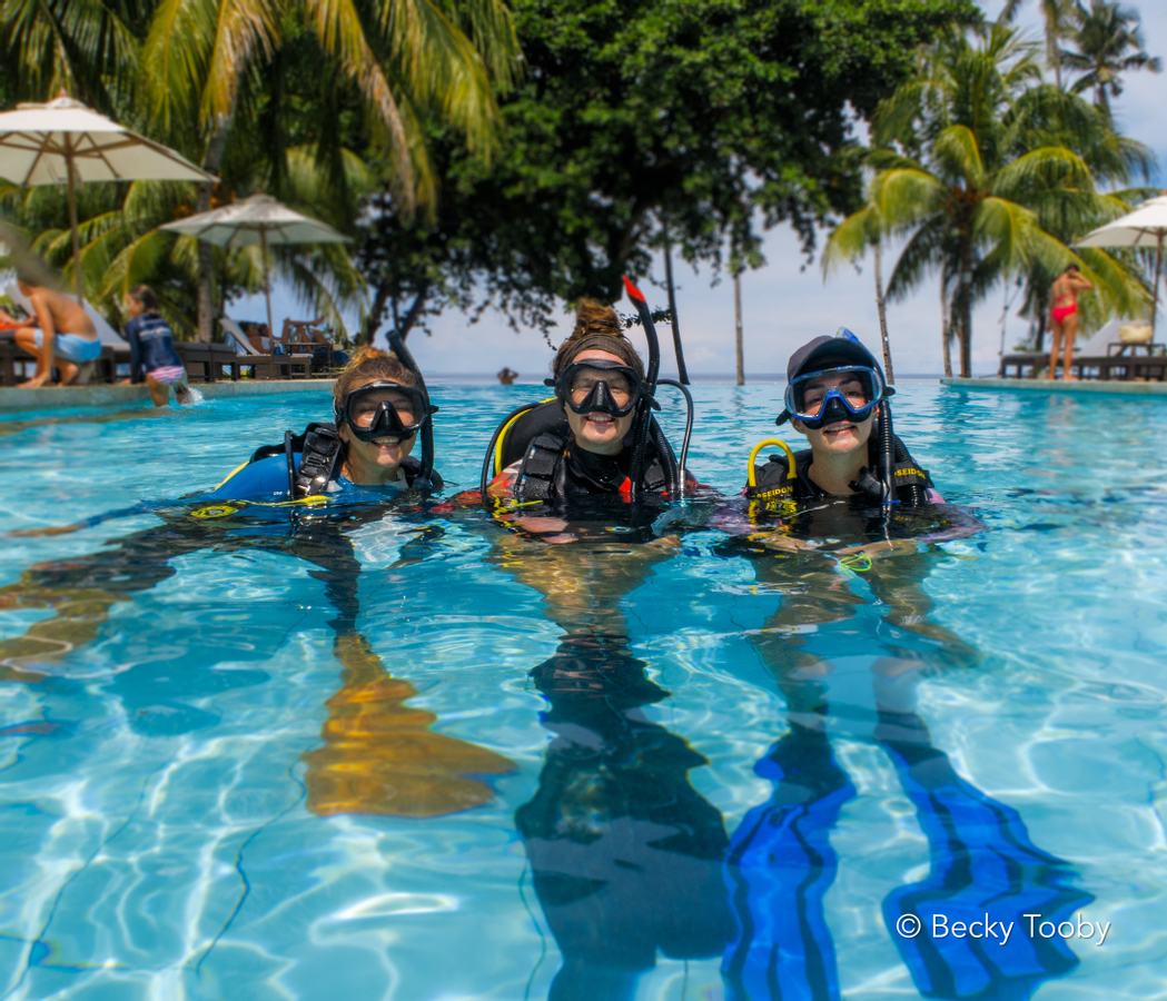 Scuba Path Paket Your Path to Scuba Diving Begins in Negros with PADI 5* center ...