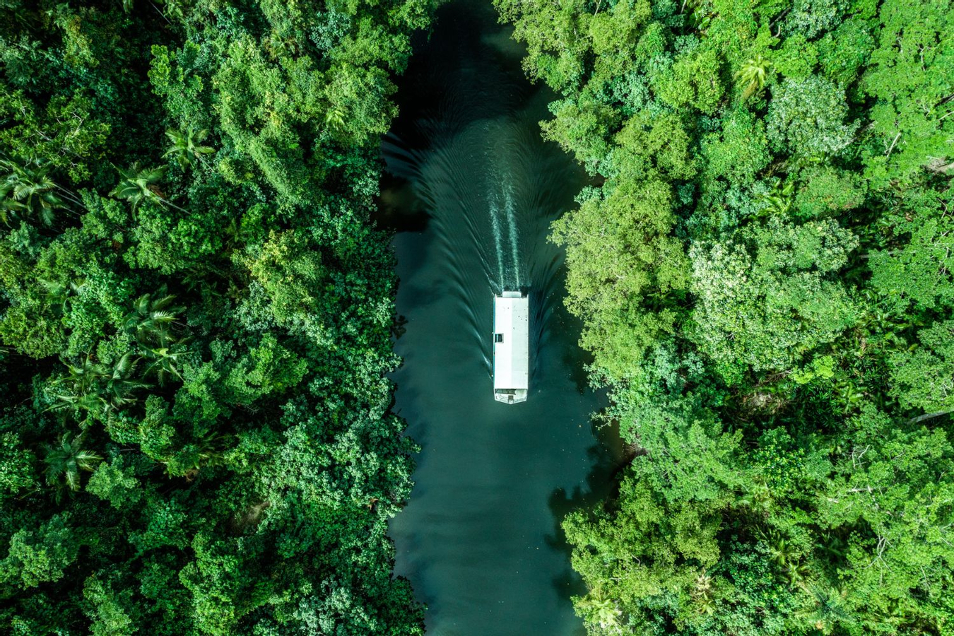 Daintree, Mossman Gorge and Wildlife Tour 09f1oxT7