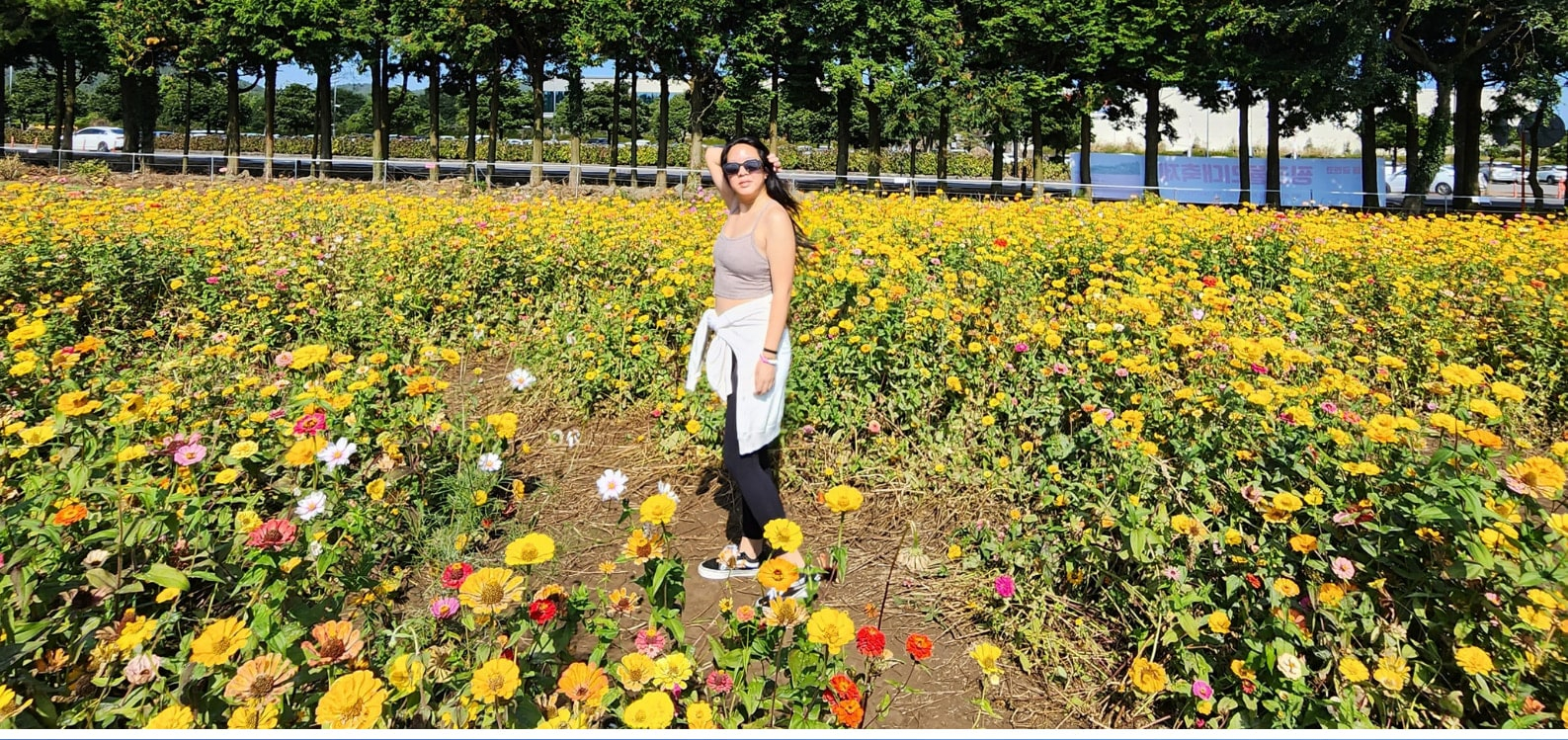 Jeju Popular Sightseeing Private Car Charter 0GgK66yP