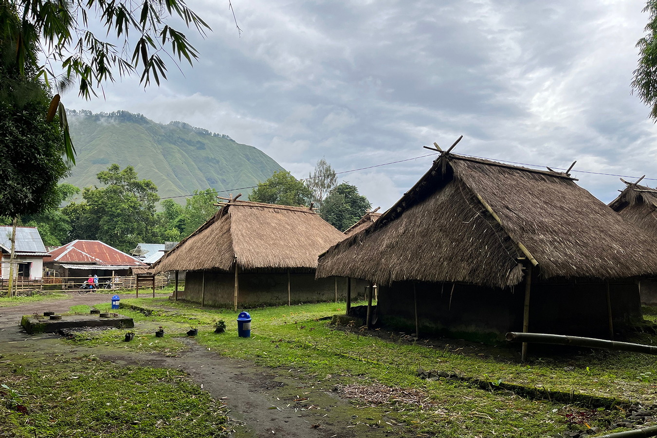 North Lombok Exploration Tour with Lunch 94NwWQZN