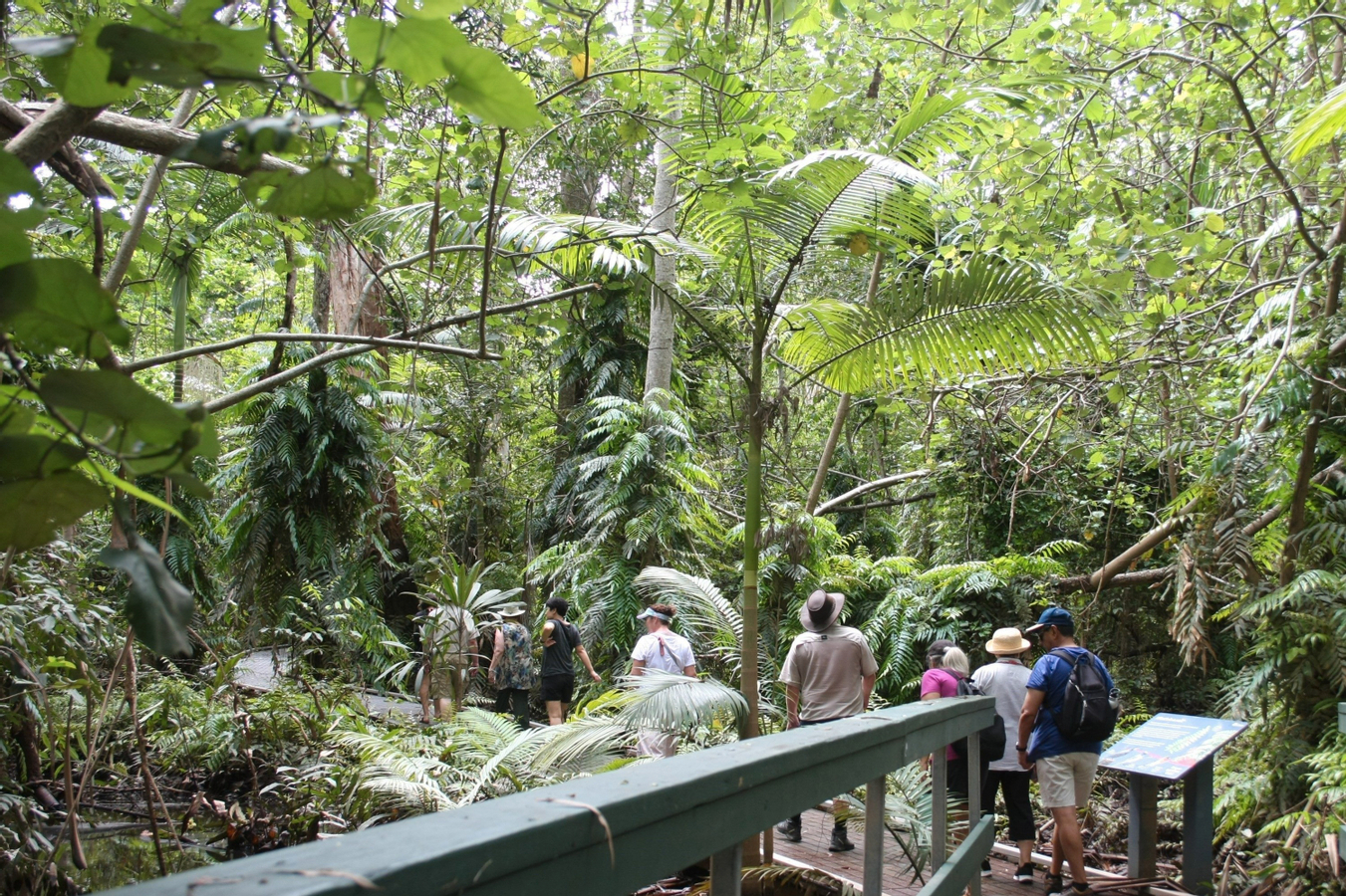 Waterfall, Wetlands, and Skyrail Day Tour from Cairns QJwVZp9f