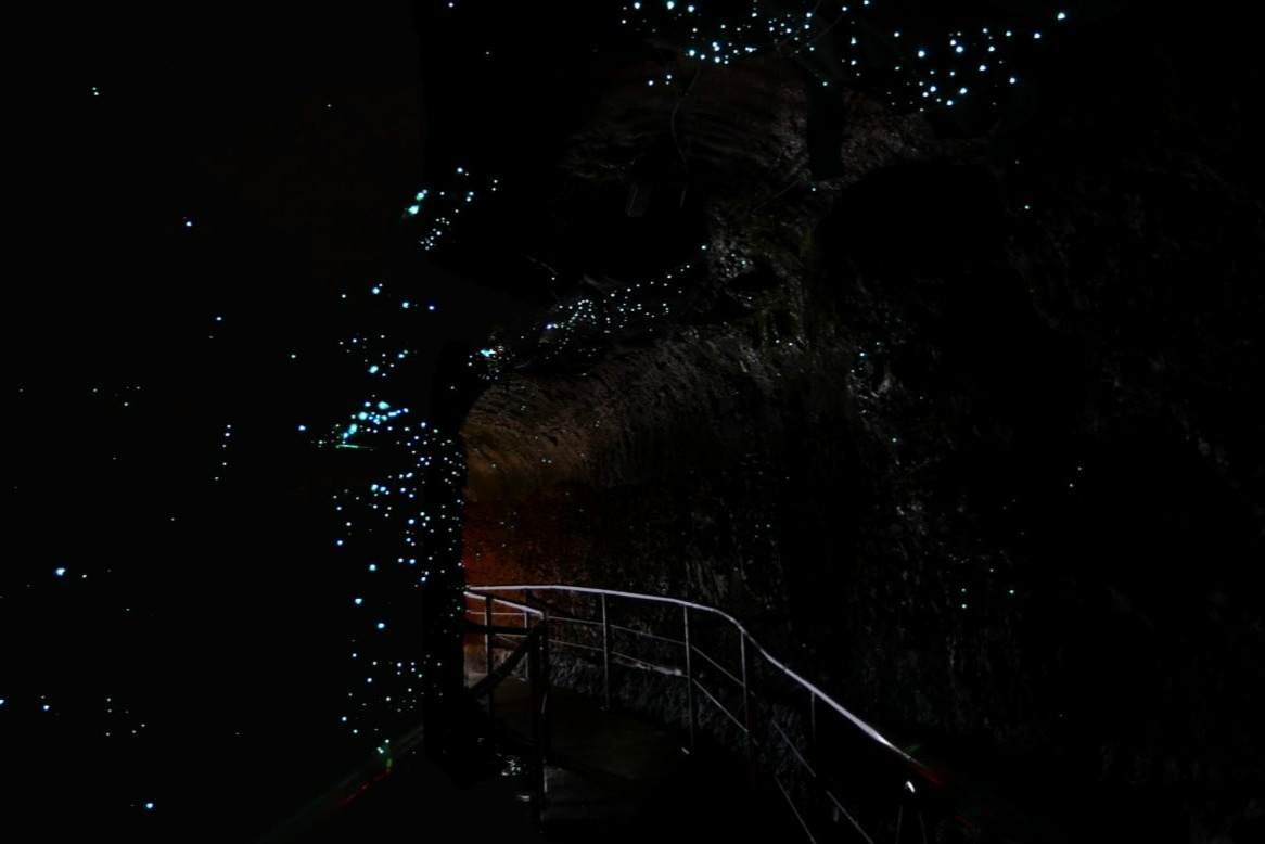 Glow Worms and Mount Tamborine Day Tour with Chinese Speaking Guide EpwaD8Kv