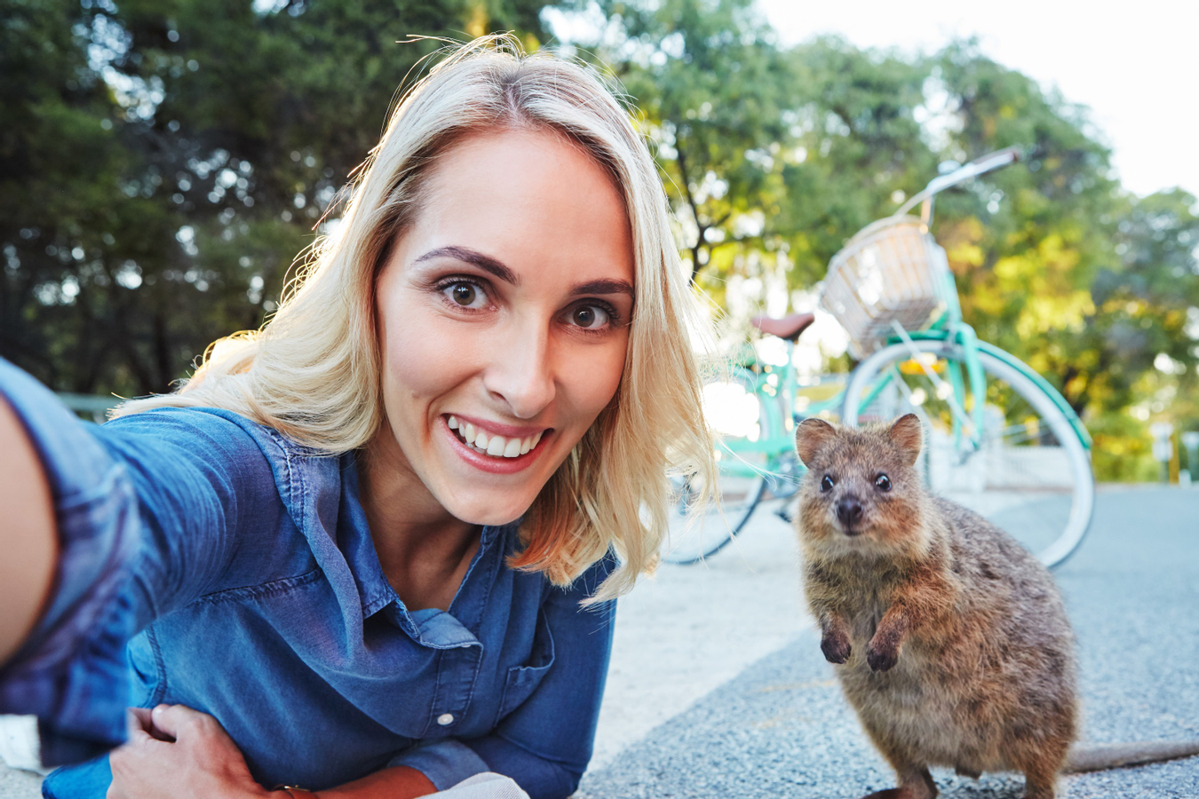 Perth, Fremantle, Rottnest Island & Swan River Tour s2vkGEiJ