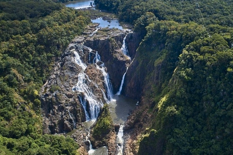 Waterfall, Wetlands, and Skyrail Day Tour from Cairns g1BgiC6m