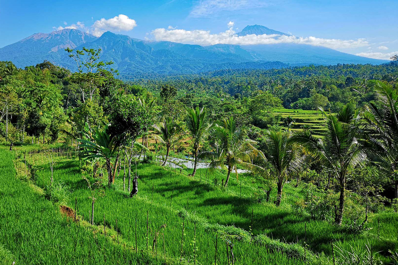 Tetebatu Soft Trekking Experience With Lunch in Lombok ZtgqEgcE