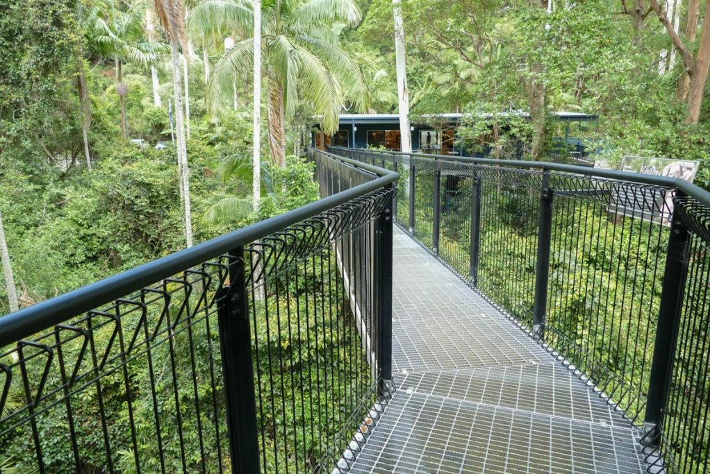 Glow Worms and Mount Tamborine Day Tour with Chinese Speaking Guide tqpJI1Ax-backdrop