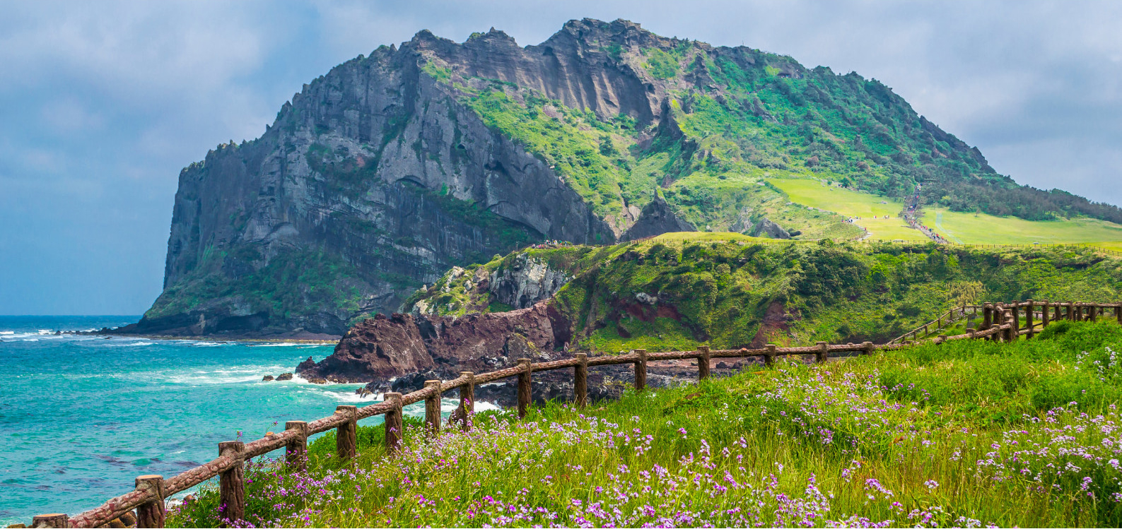 Jeju Popular Sightseeing Private Car Charter 4i3J0b8h
