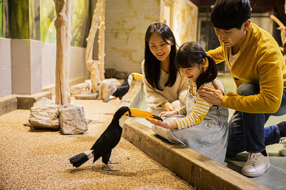 Gyeongju Zoolung Zoolung Indoor Animal Theme Park Ticket aaMt201E