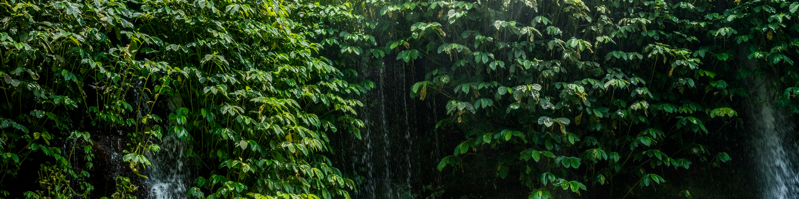 Benang Stokel And Benang Kelambu Waterfall Tour in Lombok mkYjk0If