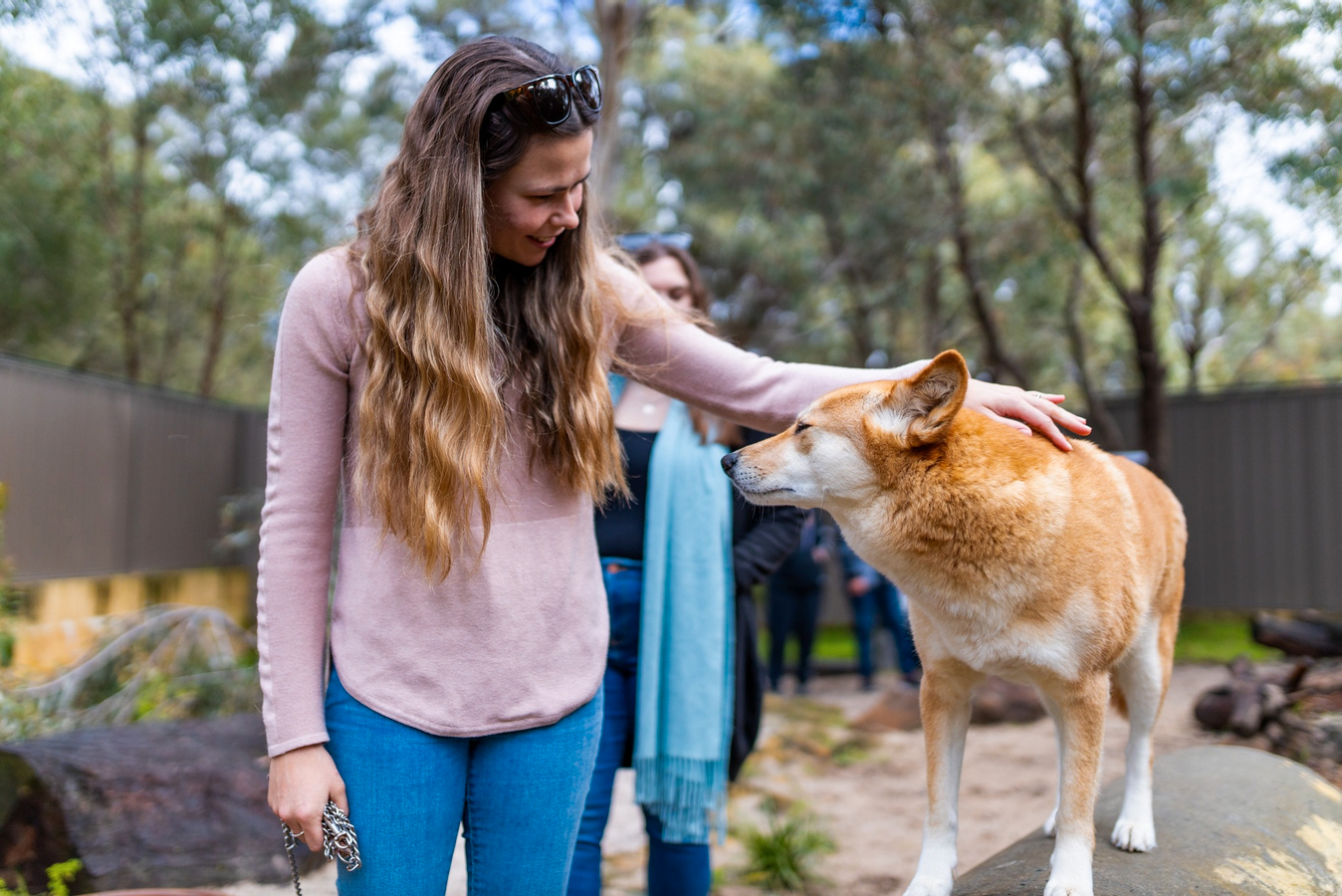 Wildlife Interaction and Hospital Tour in Perth KfRAdihF
