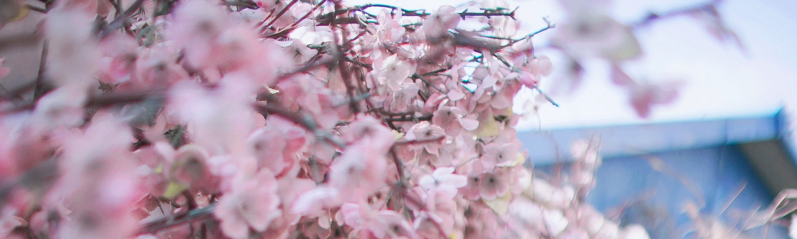 Gyeongju Hanbok Experience L2clIvxk