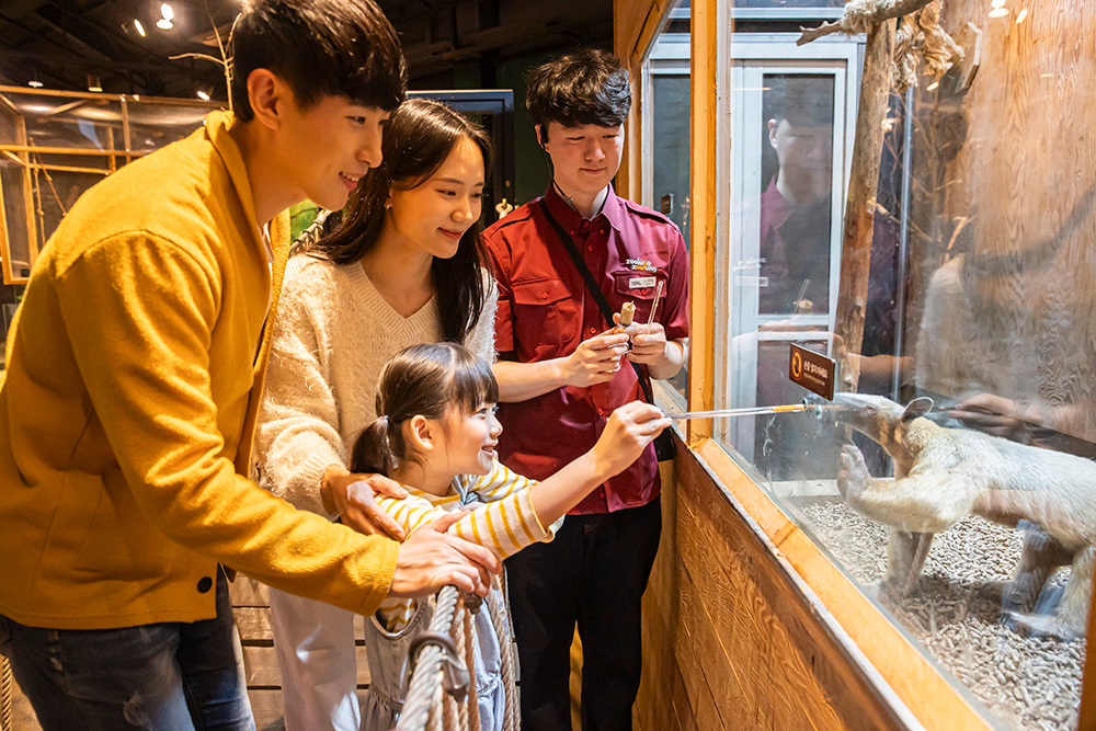 Gyeongju Zoolung Zoolung Indoor Animal Theme Park Ticket vmquieVG