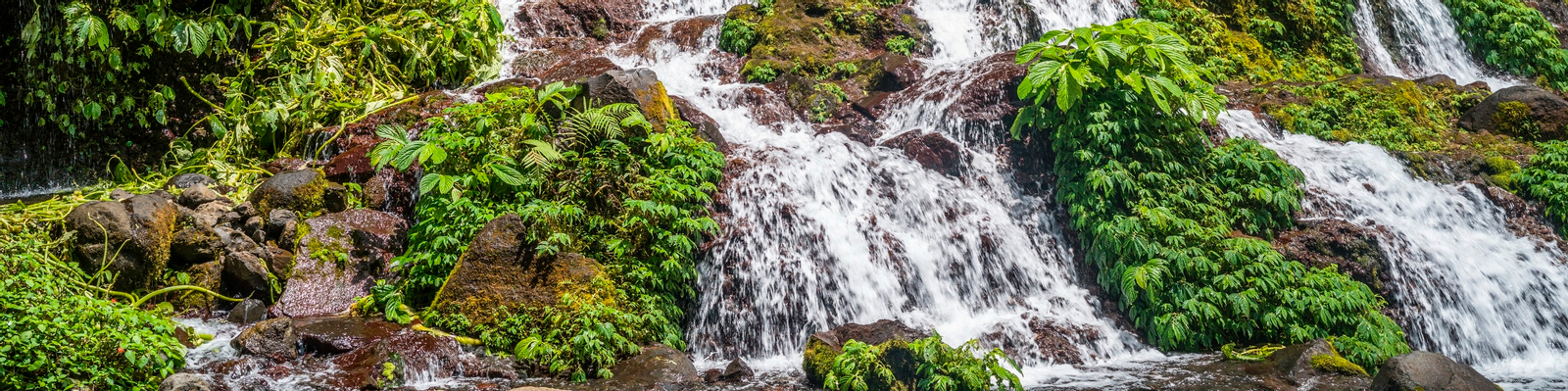 Benang Stokel And Benang Kelambu Waterfall Tour in Lombok Wc8NtDIz-backdrop