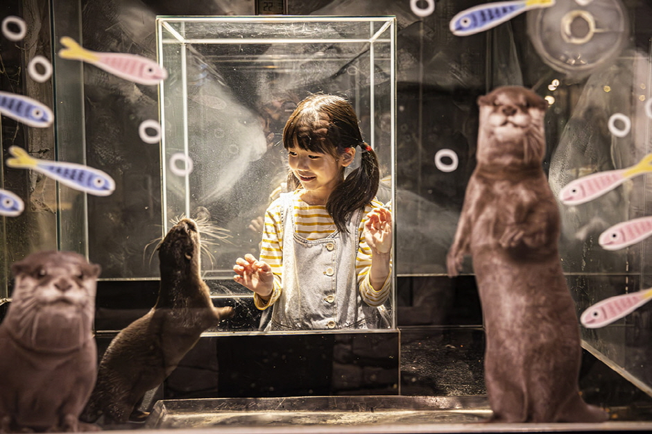 Gyeongju Zoolung Zoolung Indoor Animal Theme Park Ticket iFQSeMjJ