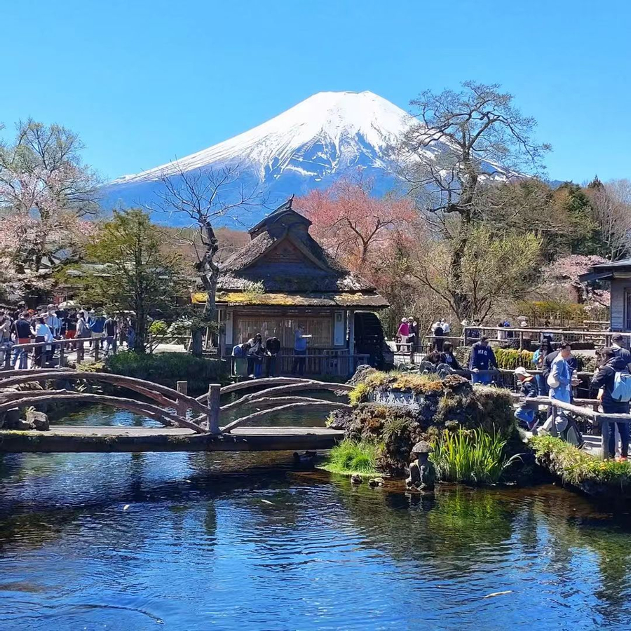 Get Ticket Mount Fuji One-Day Tour: Kawaguchiko Tenjozan Park with ...