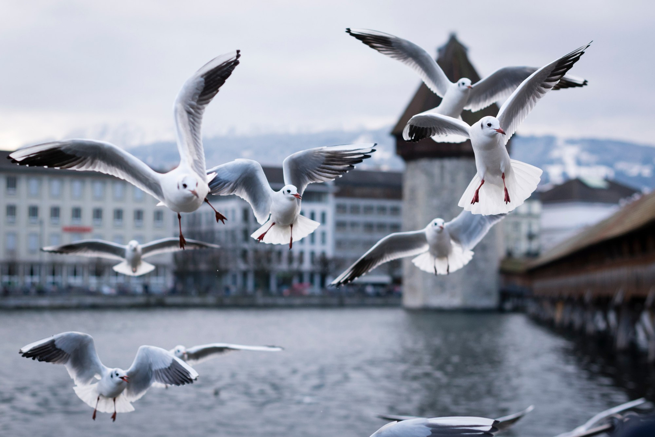Lucerne First Discovery Walking Trip euUgYQHD
