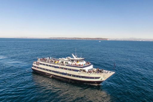 Whale and Dolphin Watching Adventure in San Diego PcMdeCVM