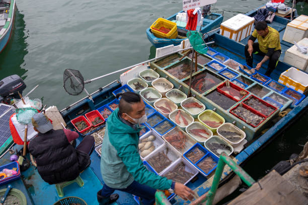 Lantau Island Day Trip | Big Buddha & Dolphin Watching mTAeAb5J