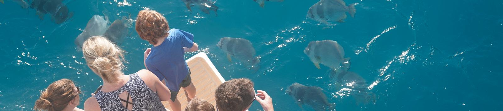 Premium Whitsunday Islands Sail, SUP & Snorkel Tour Ul7lJld8-backdrop