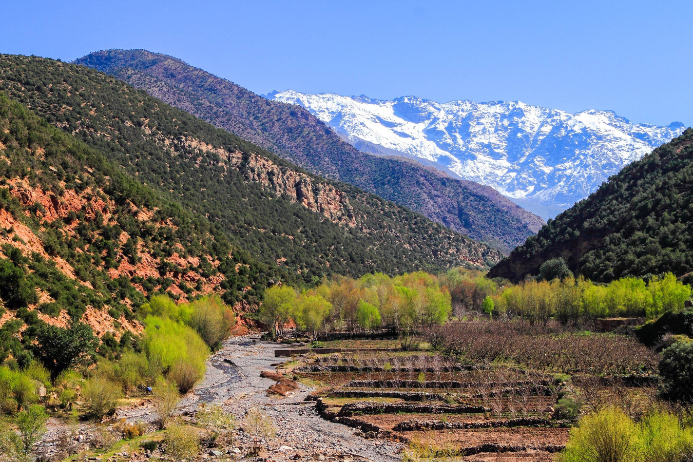Tiket Ourika Valley Local Village Cultural Day Tour Harga Promo - tiket.com