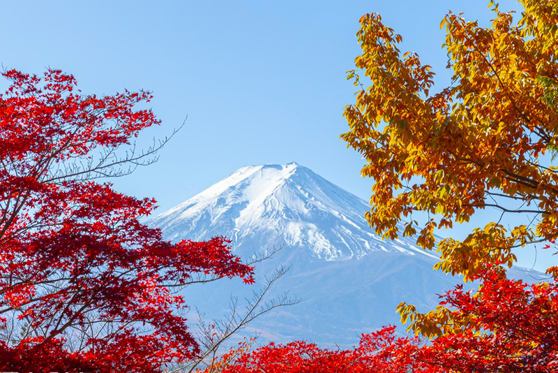 Get Ticket Mount Fuji One-Day Tour: Kawaguchiko Tenjozan Park with ...