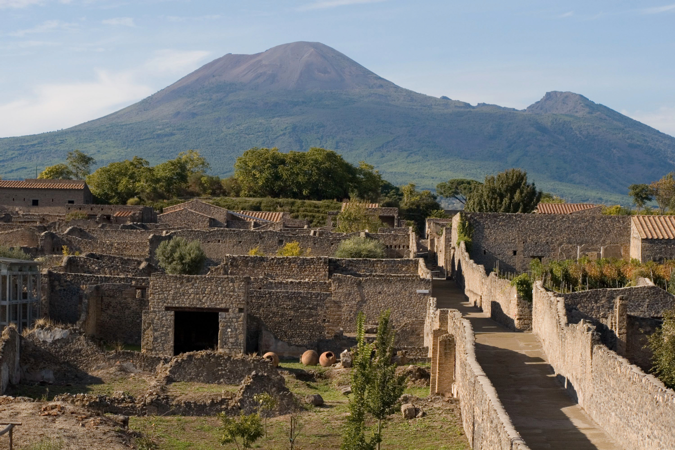 Pompeii and Mount Vesuvius Tour from Naples JeoFQjI7