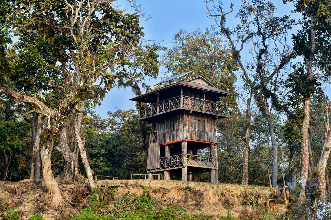 Chitwan Jungle Safari 2/3/4-Days Tour Jz9IpuSL