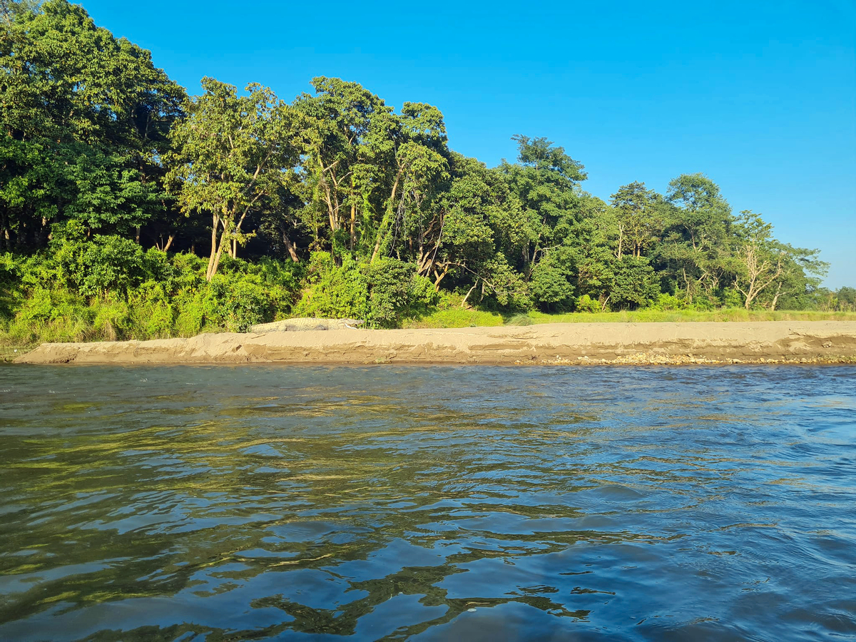 Chitwan Jungle Safari 2/3/4-Days Tour rMBYdx6t