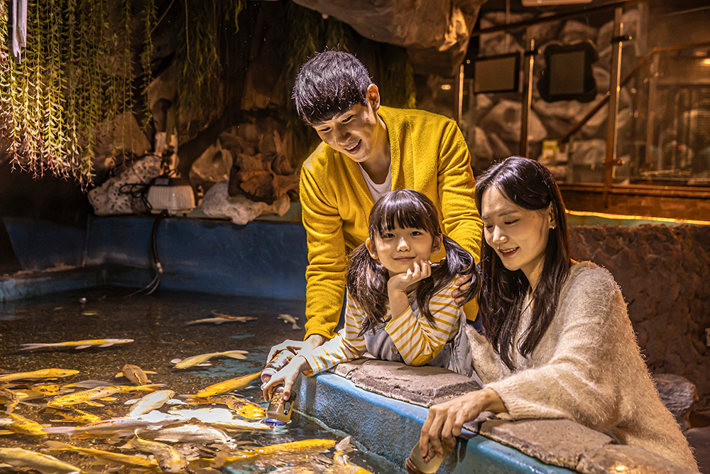 Gyeongju Zoolung Zoolung Indoor Animal Theme Park Ticket W5hKsi6K